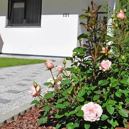 Leiter * نيديرثاي