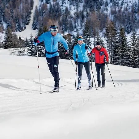 Leiter נידרטאי